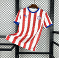 Maillot de football Paraguay 2026 version domicile homme.