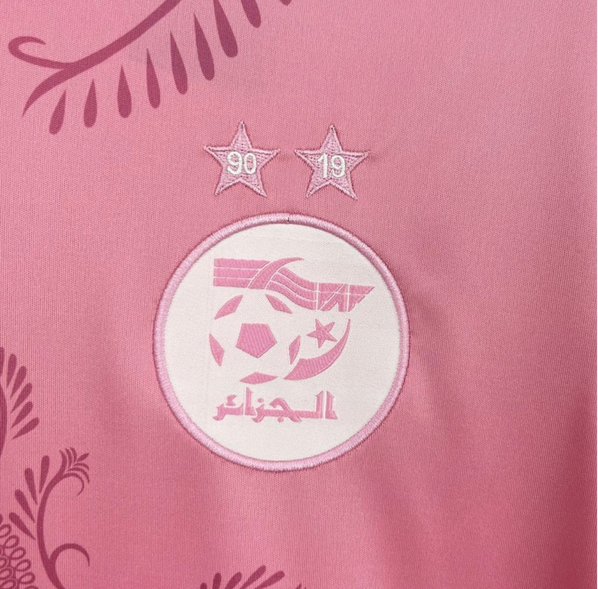 Algeria 2024/25 Pink Jersey