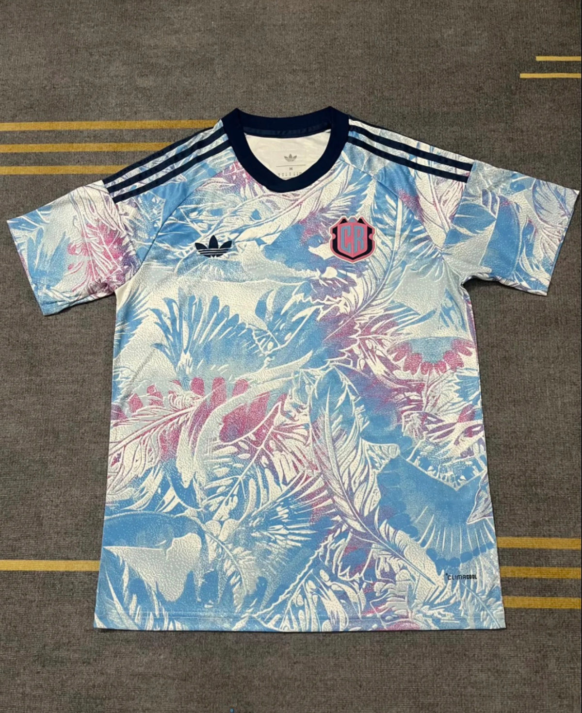 Men's Costa Rica 2026 World Cup Away Jersey