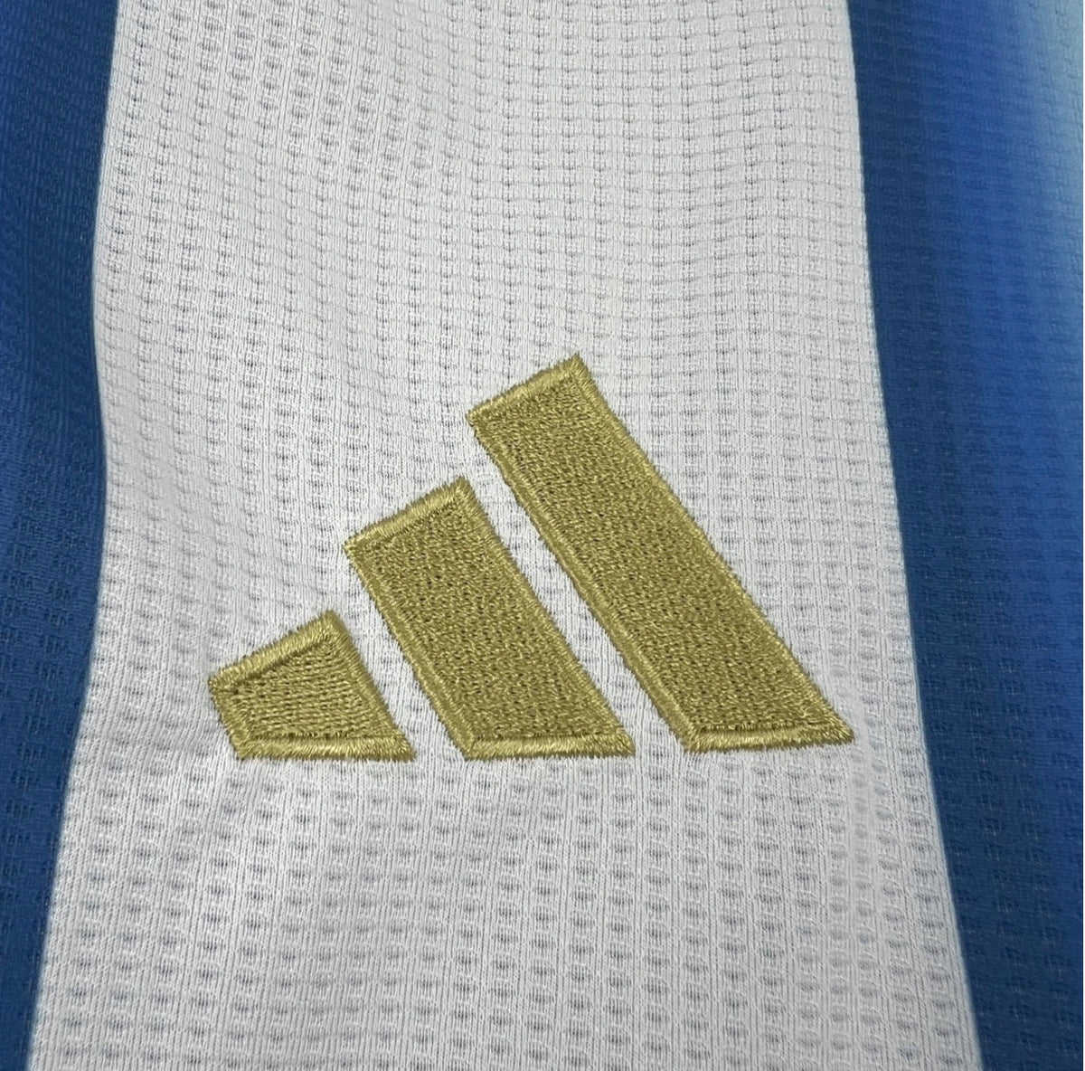 Argentina 2025/26 Men's Home Jersey